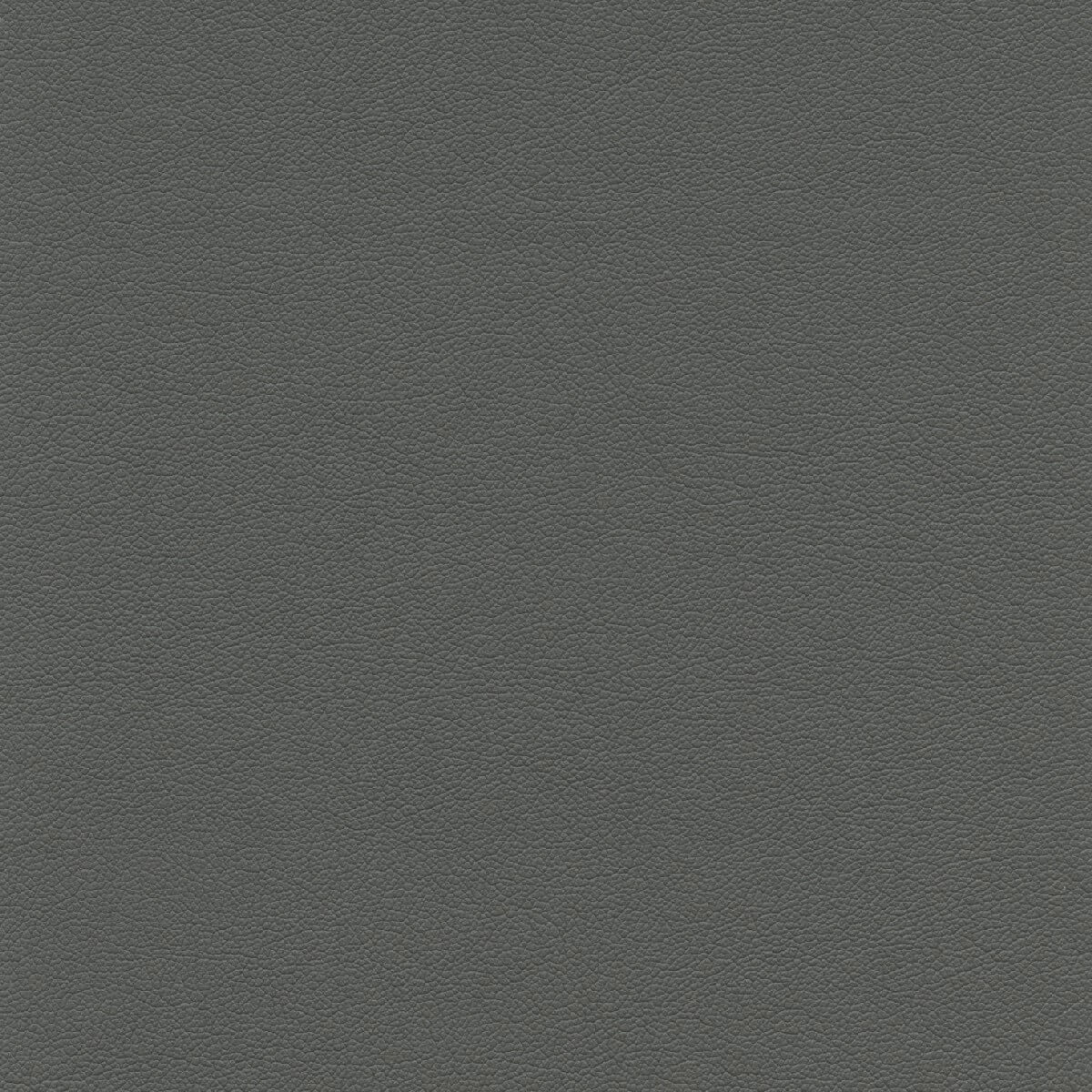 50458 RIVER ROCK (TOUCHE')