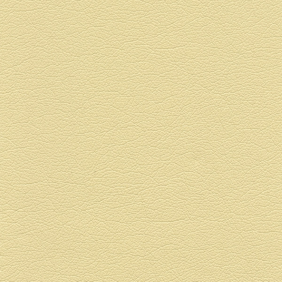 50460 BAMBOO (TOUCHE')