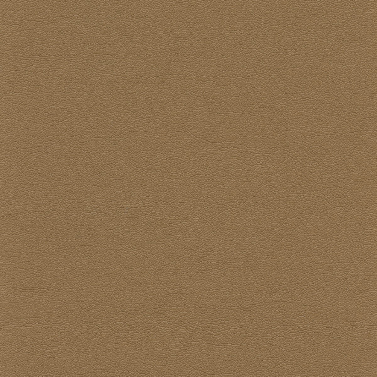50462 SAFFRON (TOUCHE')