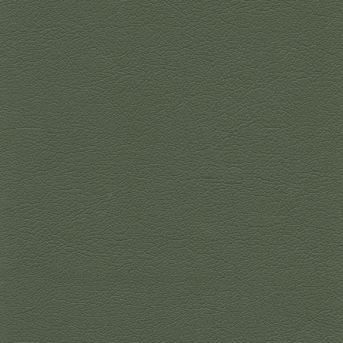 50463 BAY LEAF (TOUCHE')