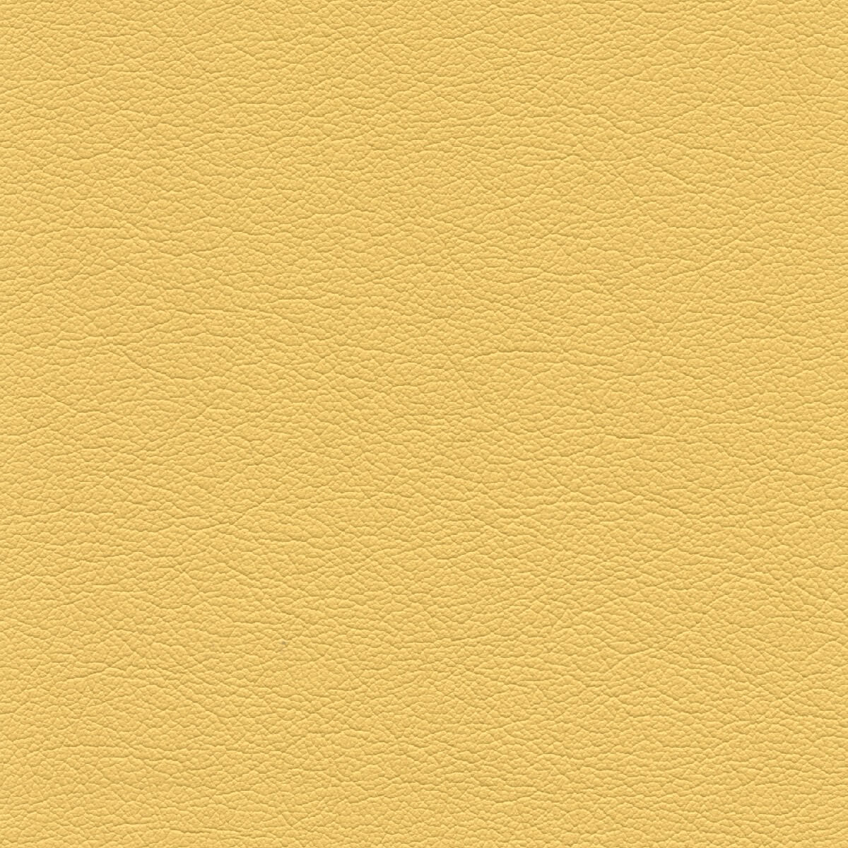 50465 CHAMOIS (TOUCHE')