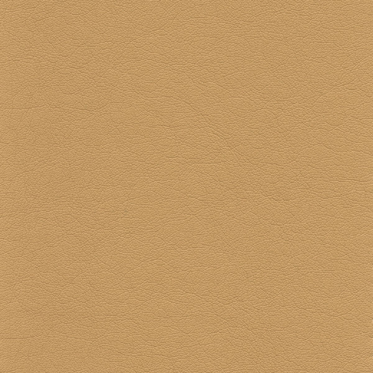 50466 CASHEW (TOUCHE')