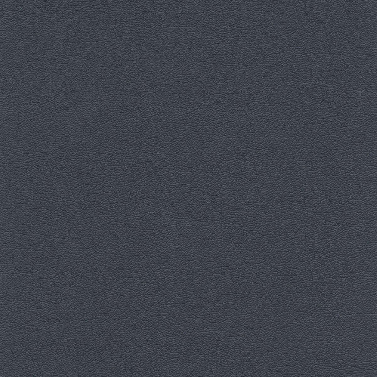 50469 MIDNIGHT (TOUCHE')