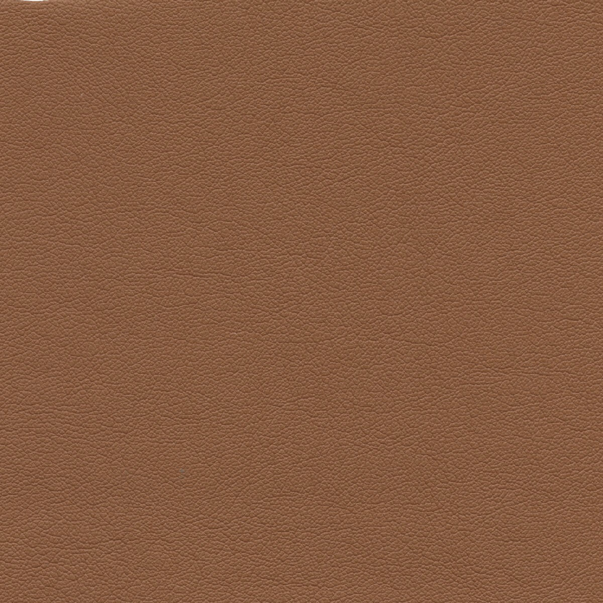 50470 PUMPKIN (TOUCHE')
