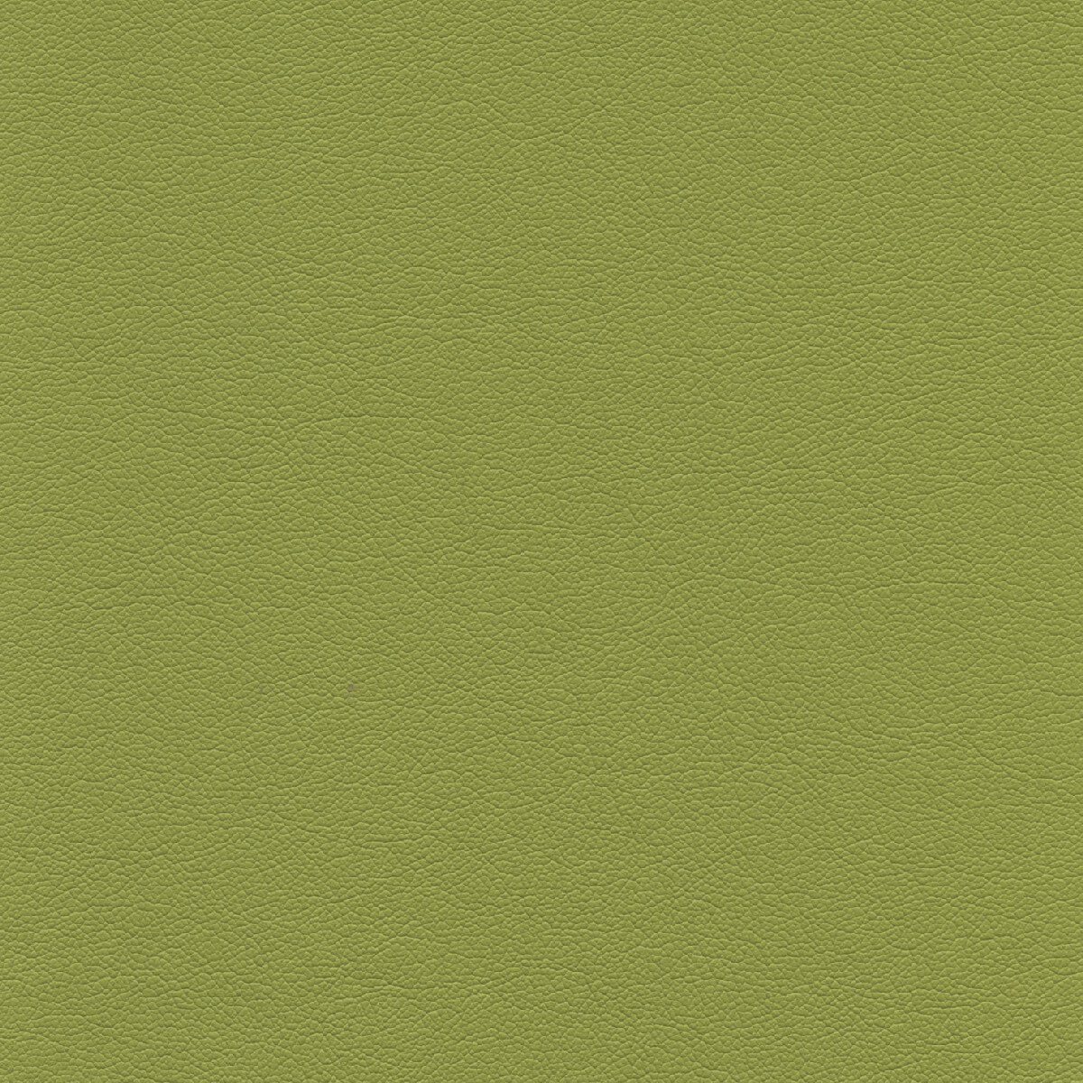 50471 SPROUT (TOUCHE')