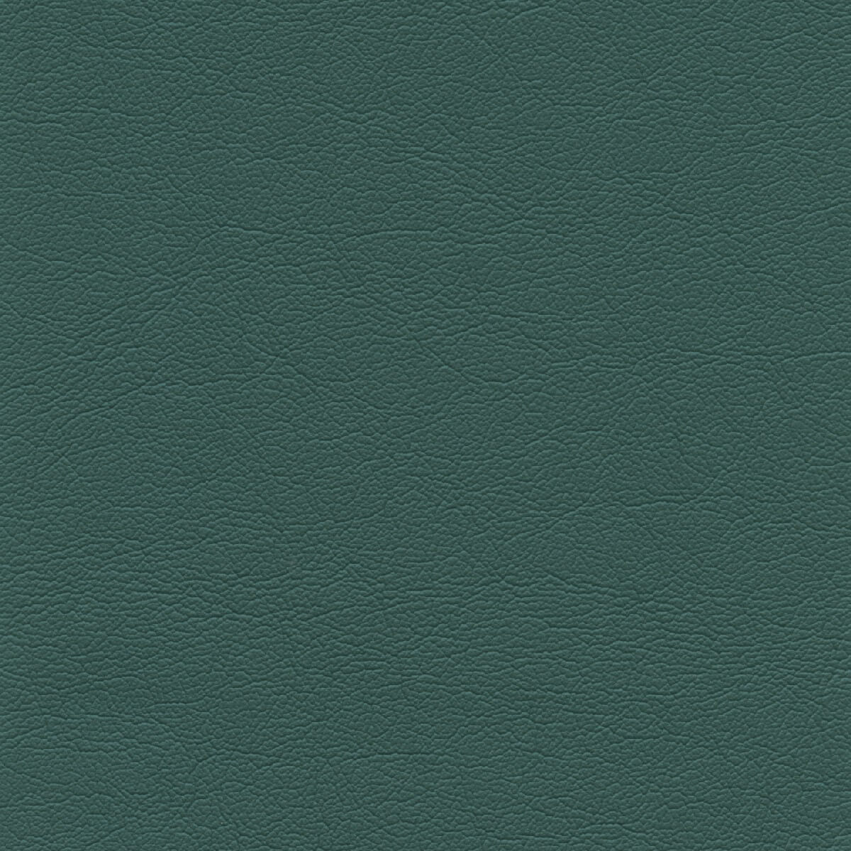 50473 PEACOCK (TOUCHE')