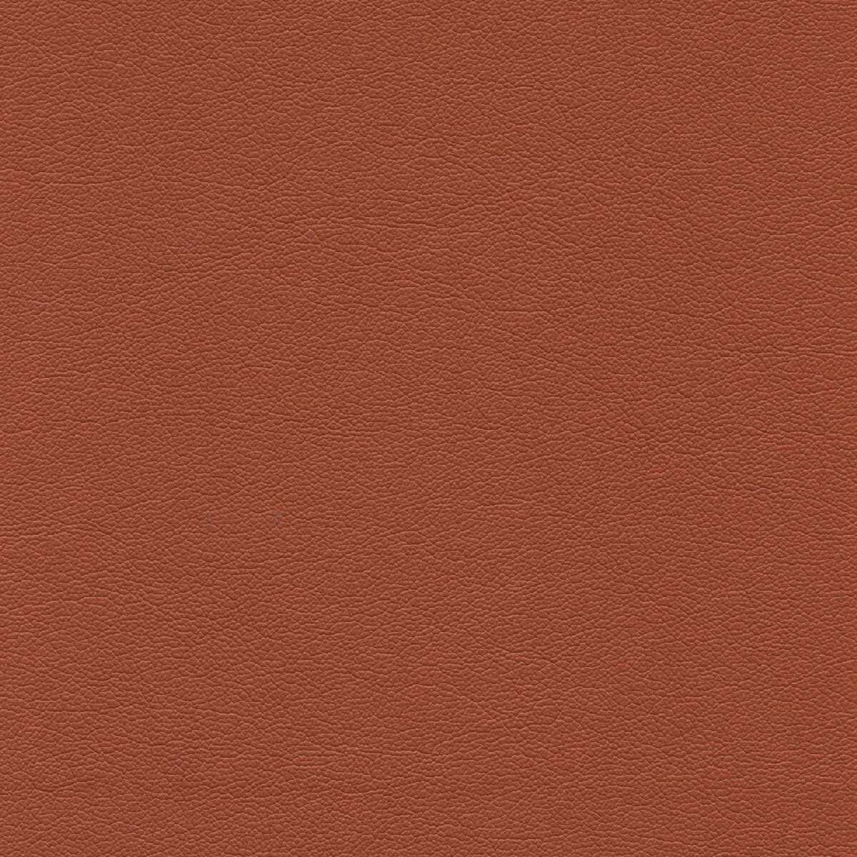 50475 PAPRIKA (TOUCHE')