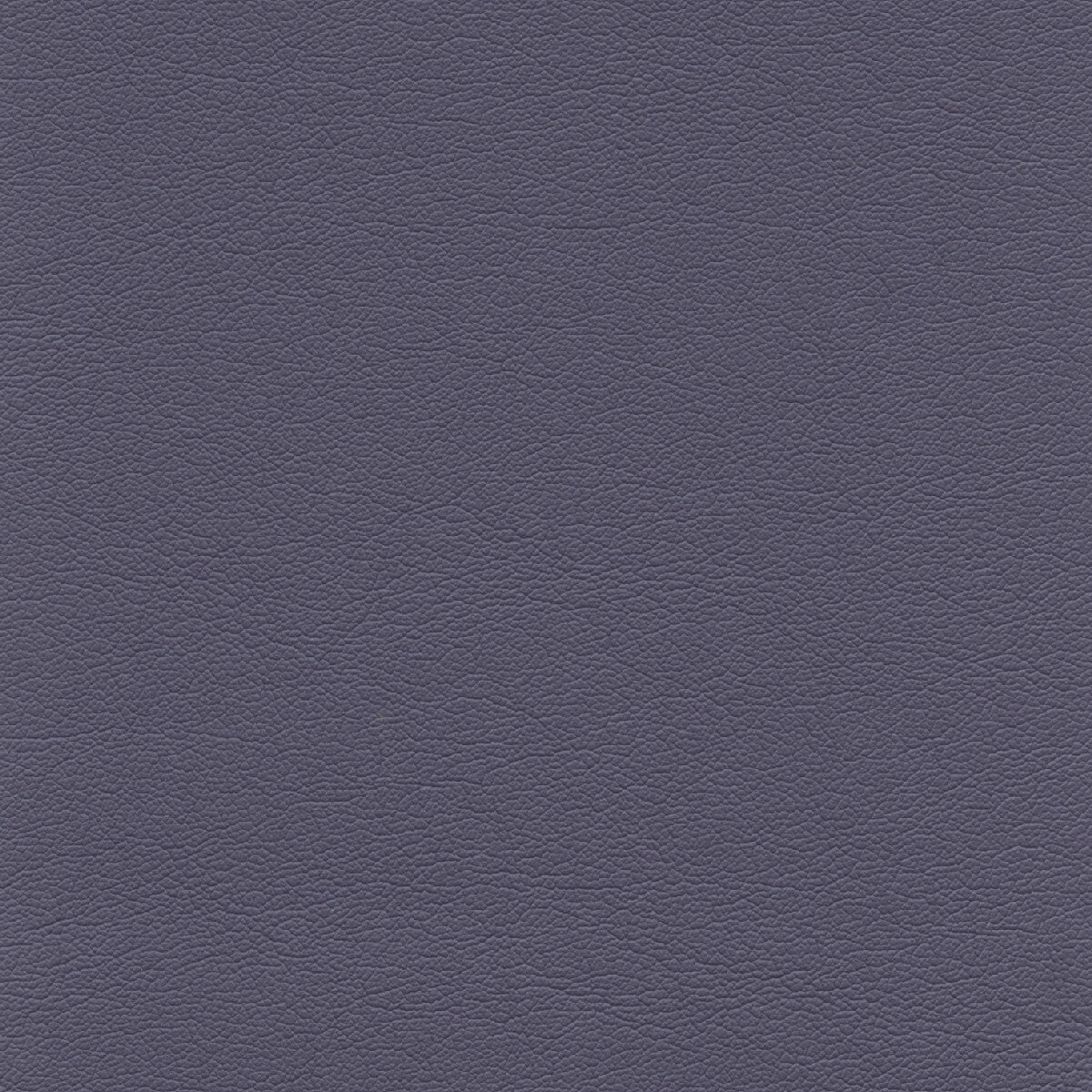 50477 AMETHYST (TOUCHE')