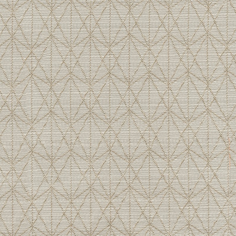 52111 CHAMPAGNE (WAYLAND)