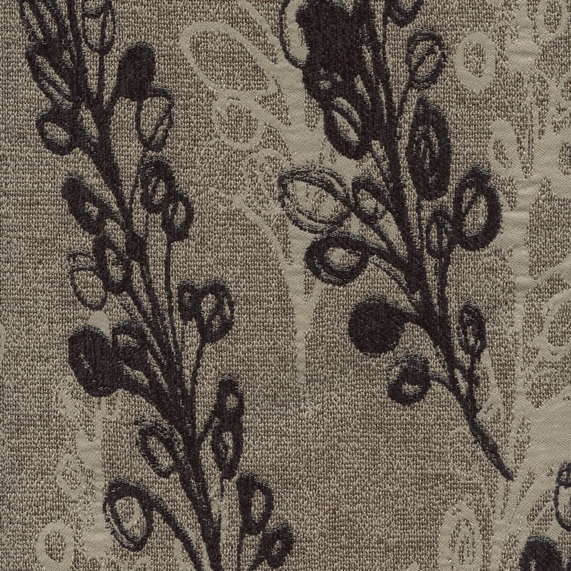 52123 EBONY (CRYSTAL FALLS)