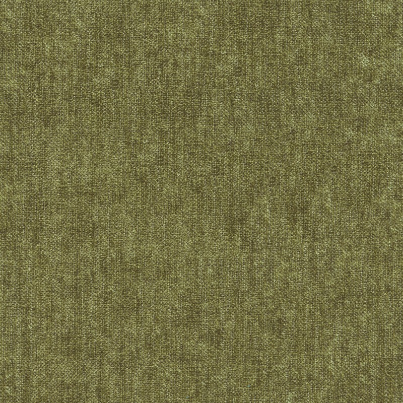 52204 GRASS (MERRIMAN)