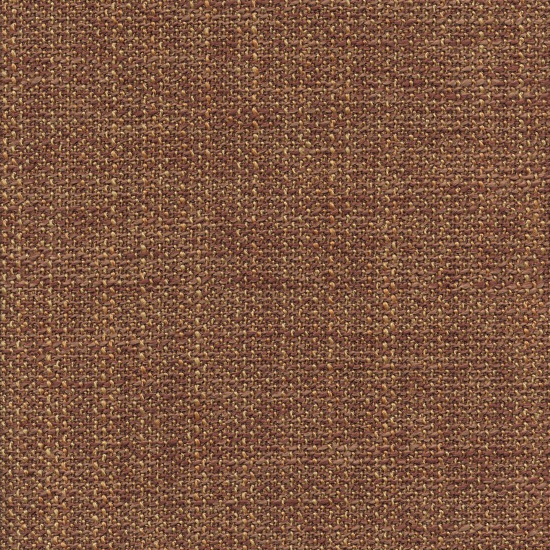 52402 APRICOT (MERRILL)