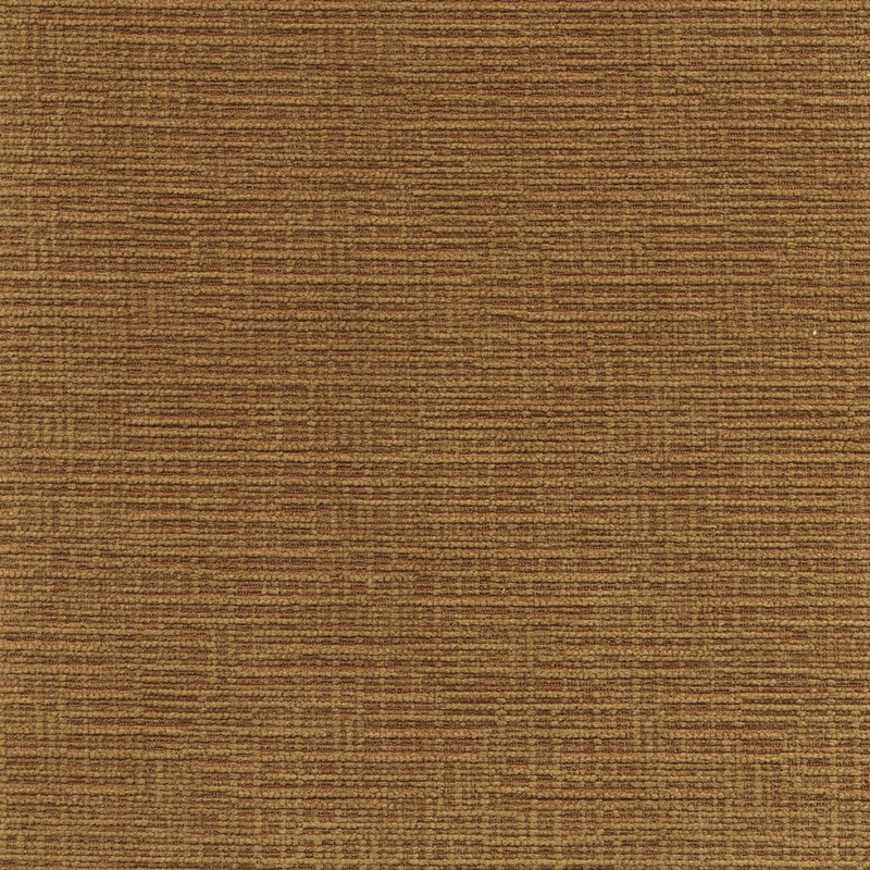 52407 CINNAMON (DUBLIN)