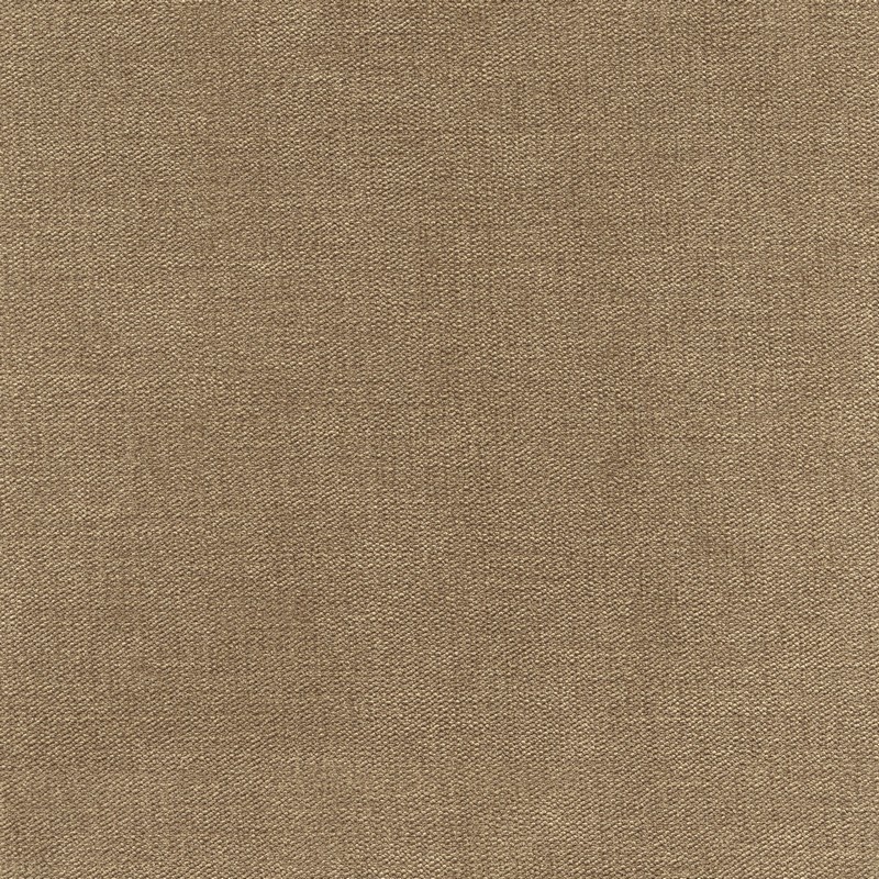 52448 NUTMEG (BROOKLYN)