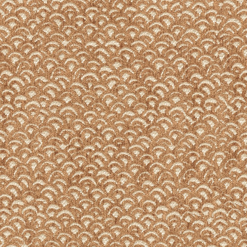 52450 NUTMEG (LITTLETON)