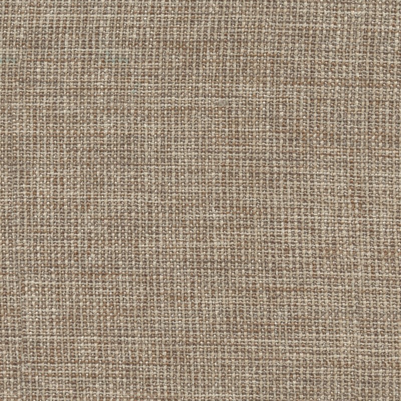 52547 FLAX (RINGO)
