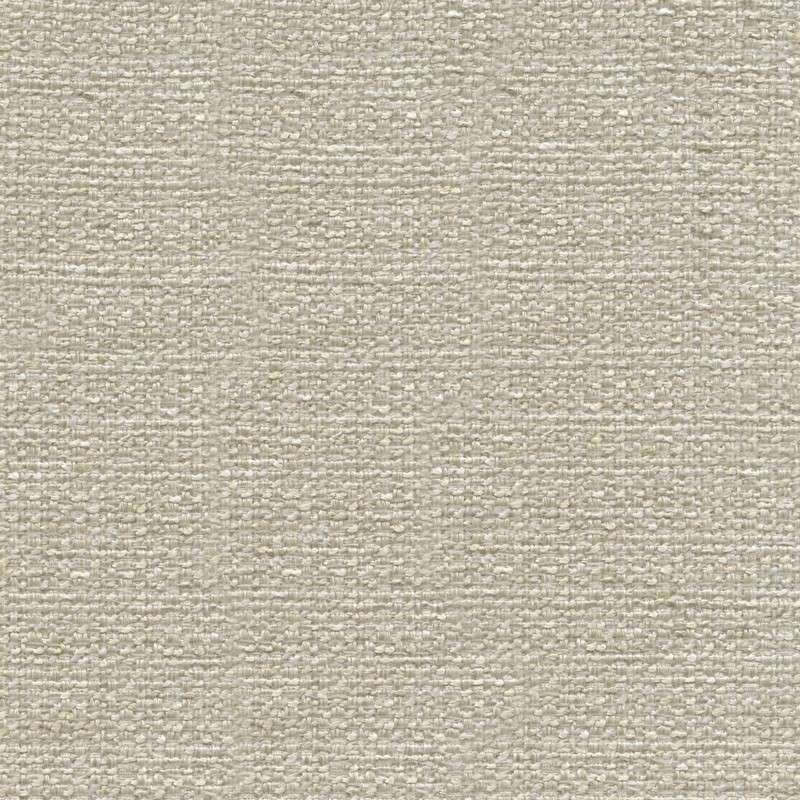 52716 SAND DOLLAR (STELLAR)