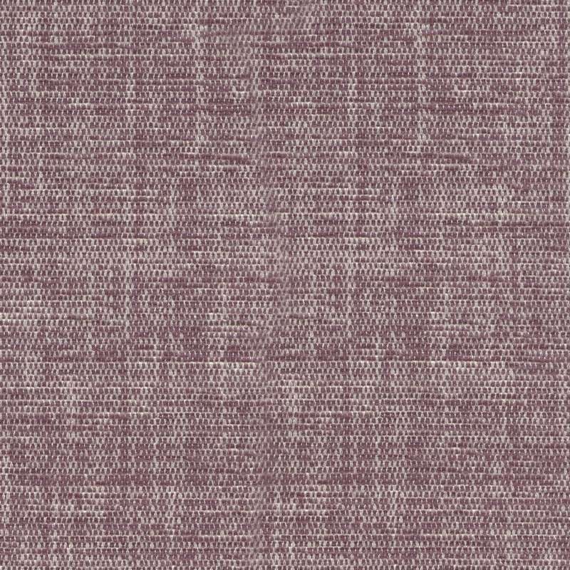 52722 PLUM (ELOISE)