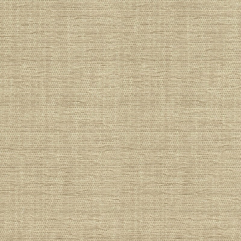 52733 TAN (ELOISE)