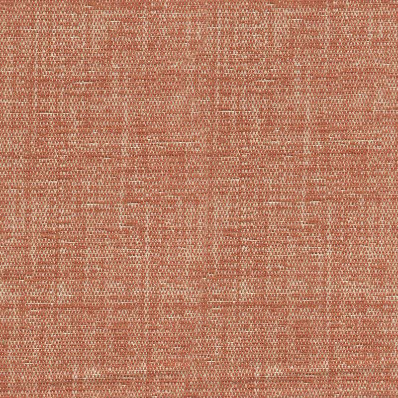 52740 NECTARINE (ELOISE)