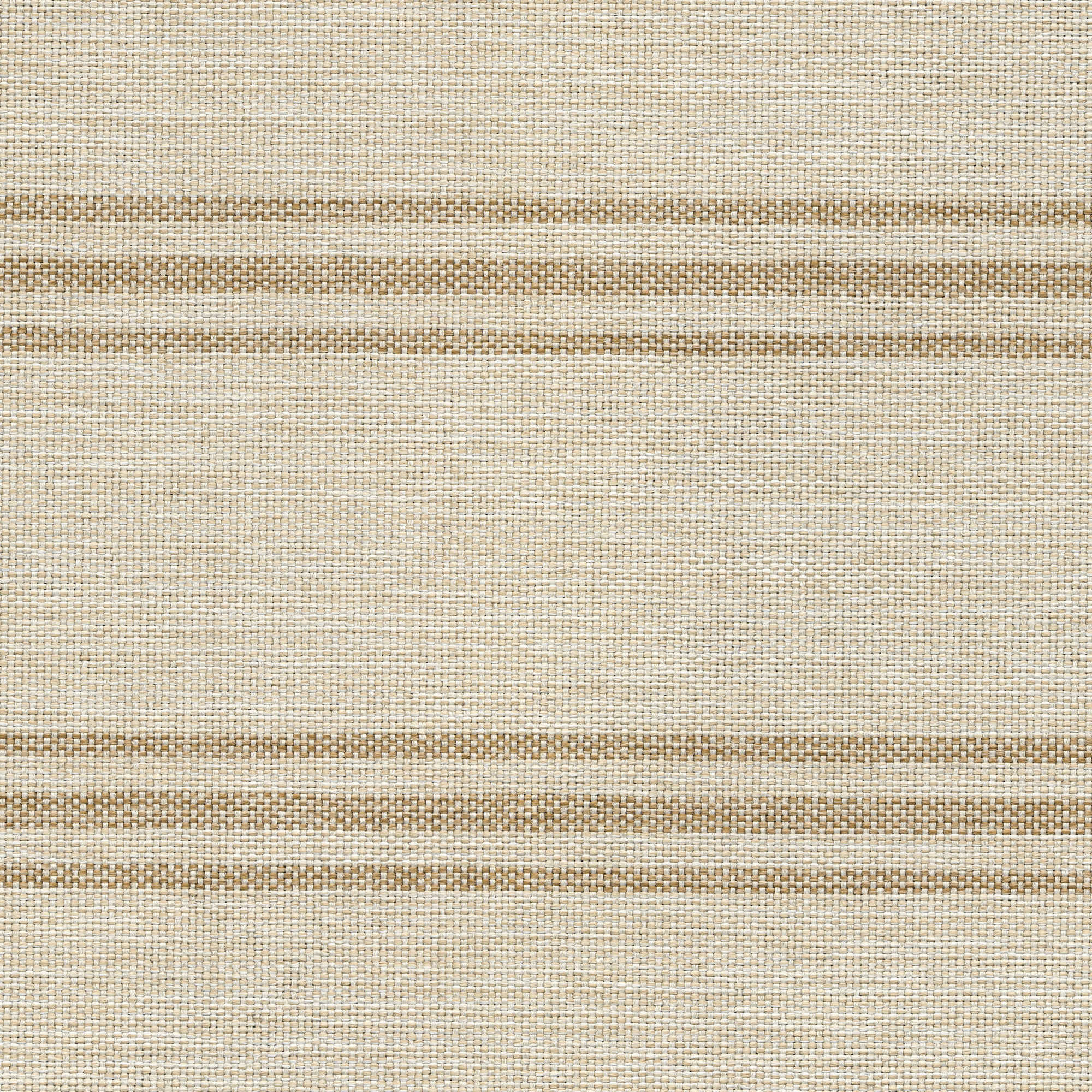53007 CANVAS (NOVEL)