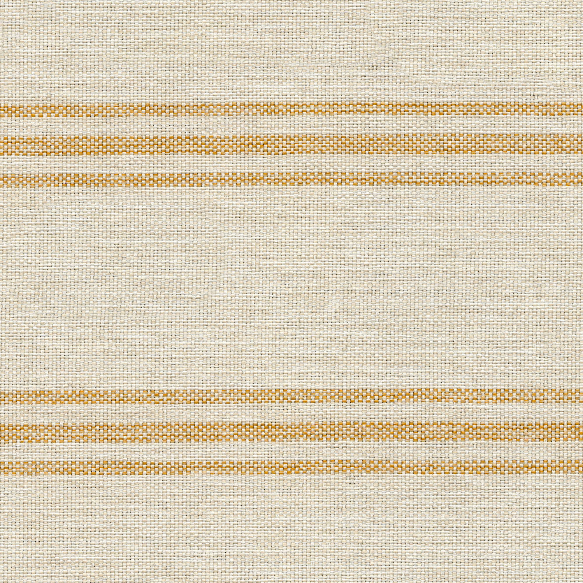 53009 BUTTER (NOVEL)