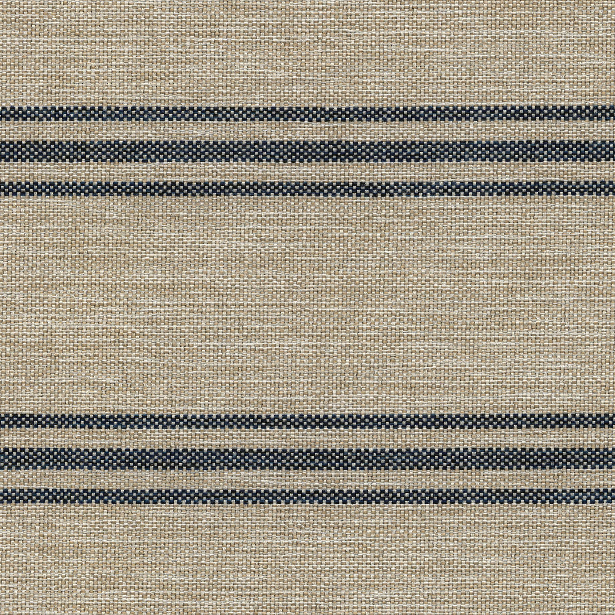 53016 INDIGO (NOVEL)