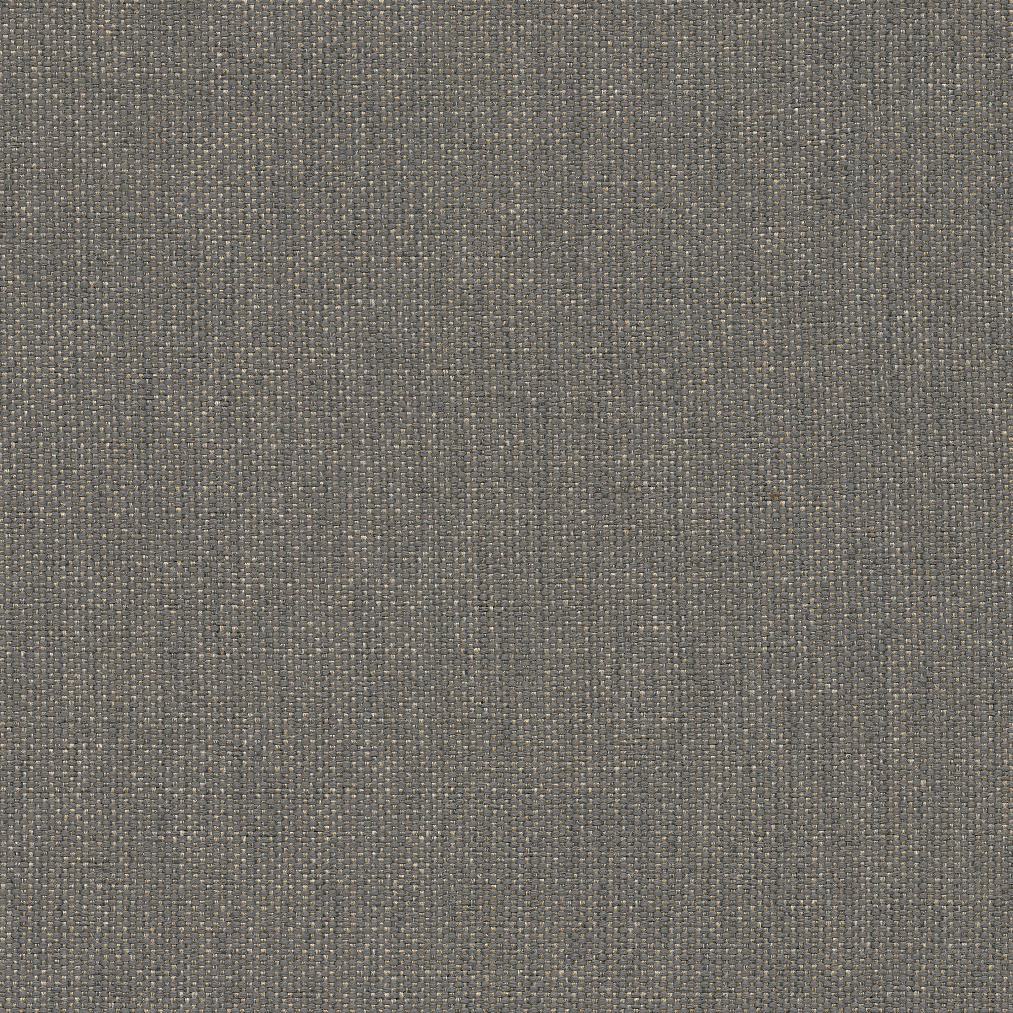 53028 CHARCOAL (CANDY)