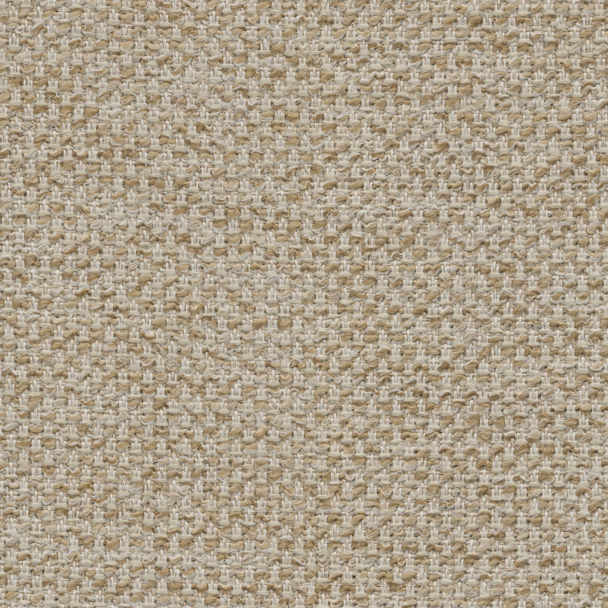 53031 RAFFIA (ARCHER)
