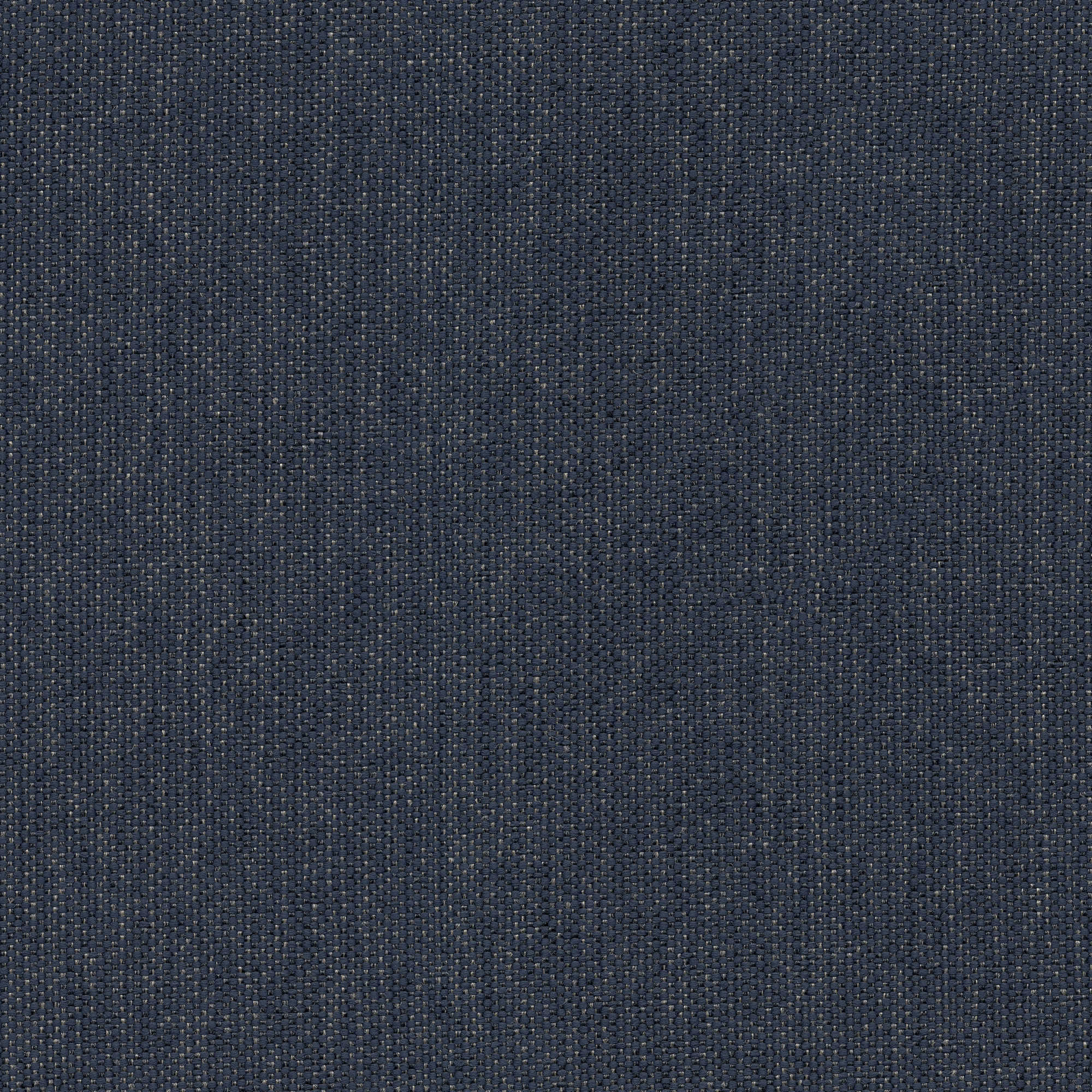 53043 NAVY (CANDY)