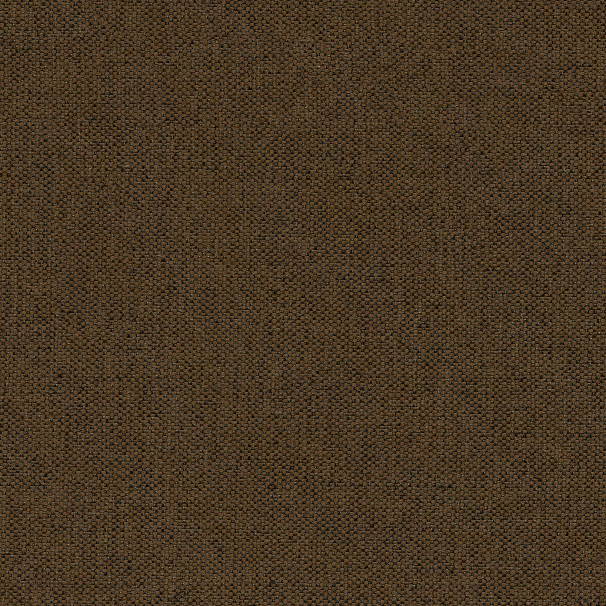 53045 BARK (CANDY)