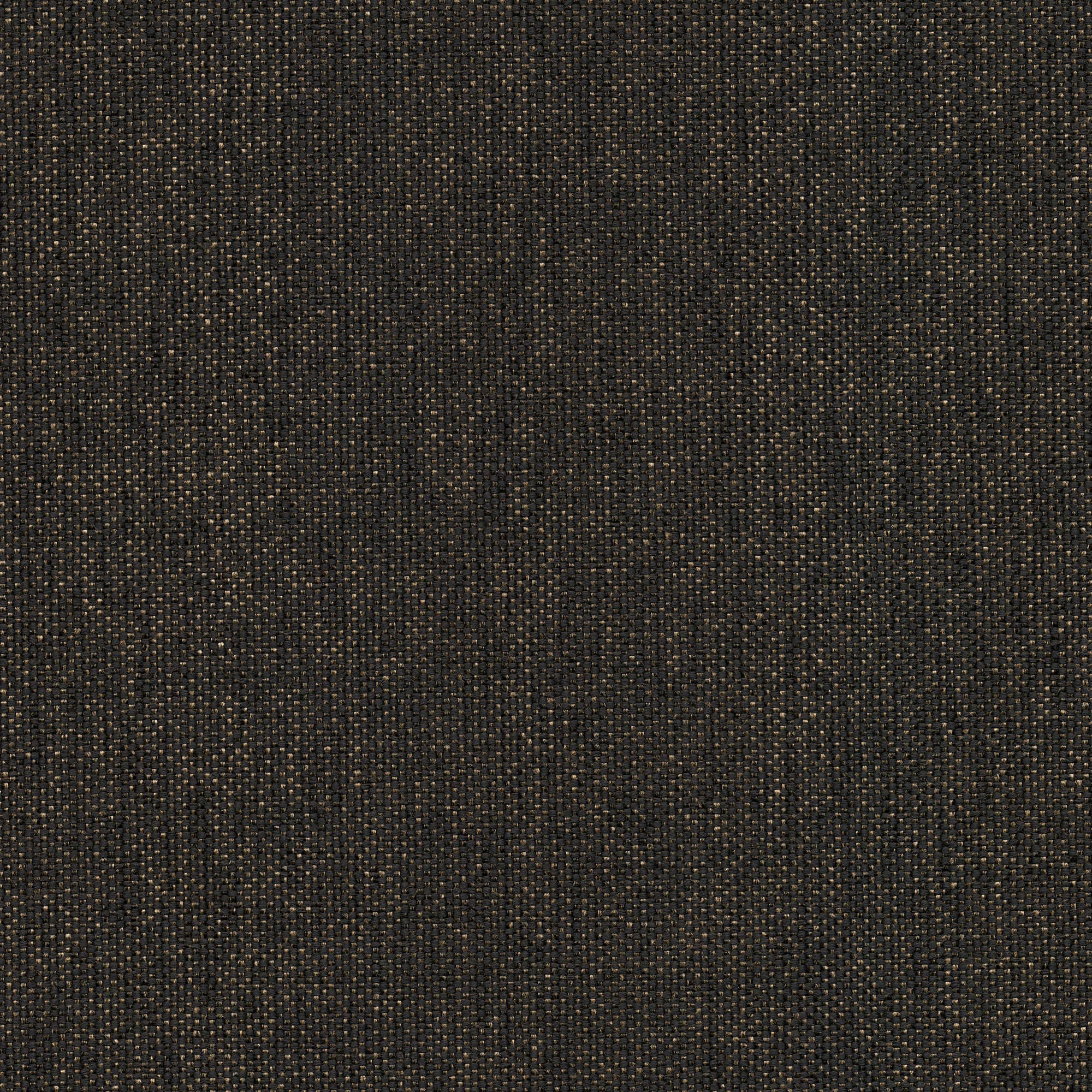 53046 CARBON (CANDY)