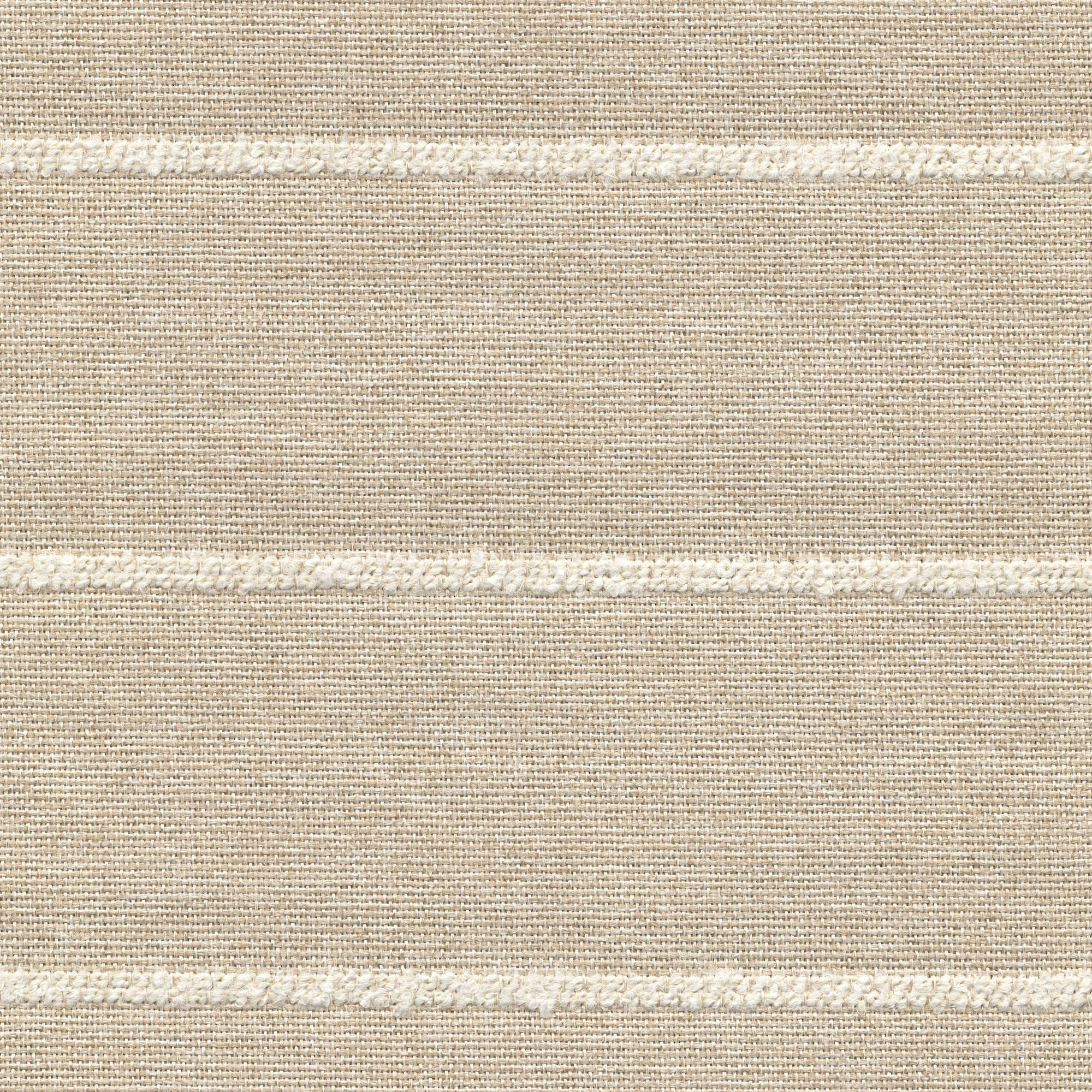 53107 CHALK (WARBLER)