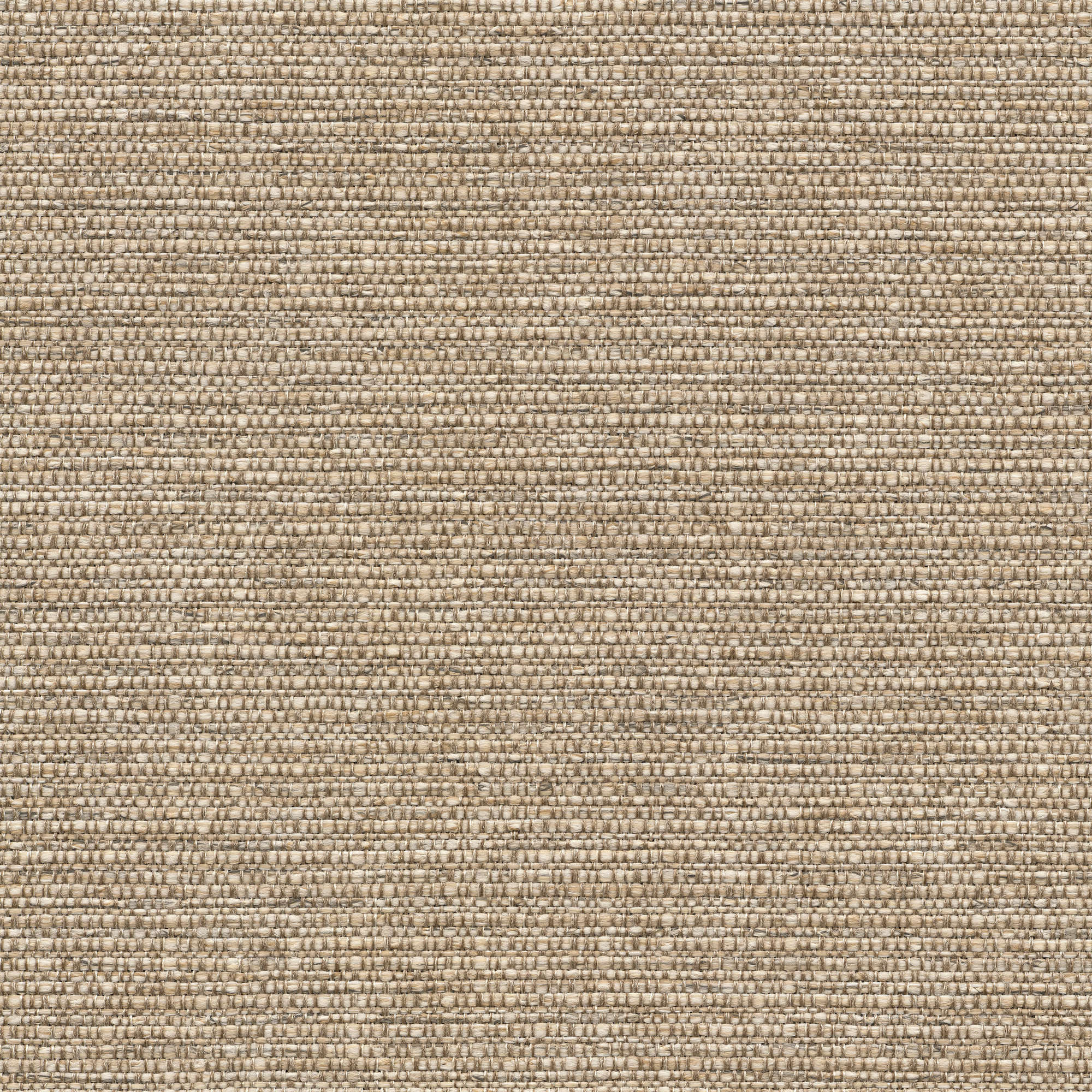 53111 FLAX (COLTON)