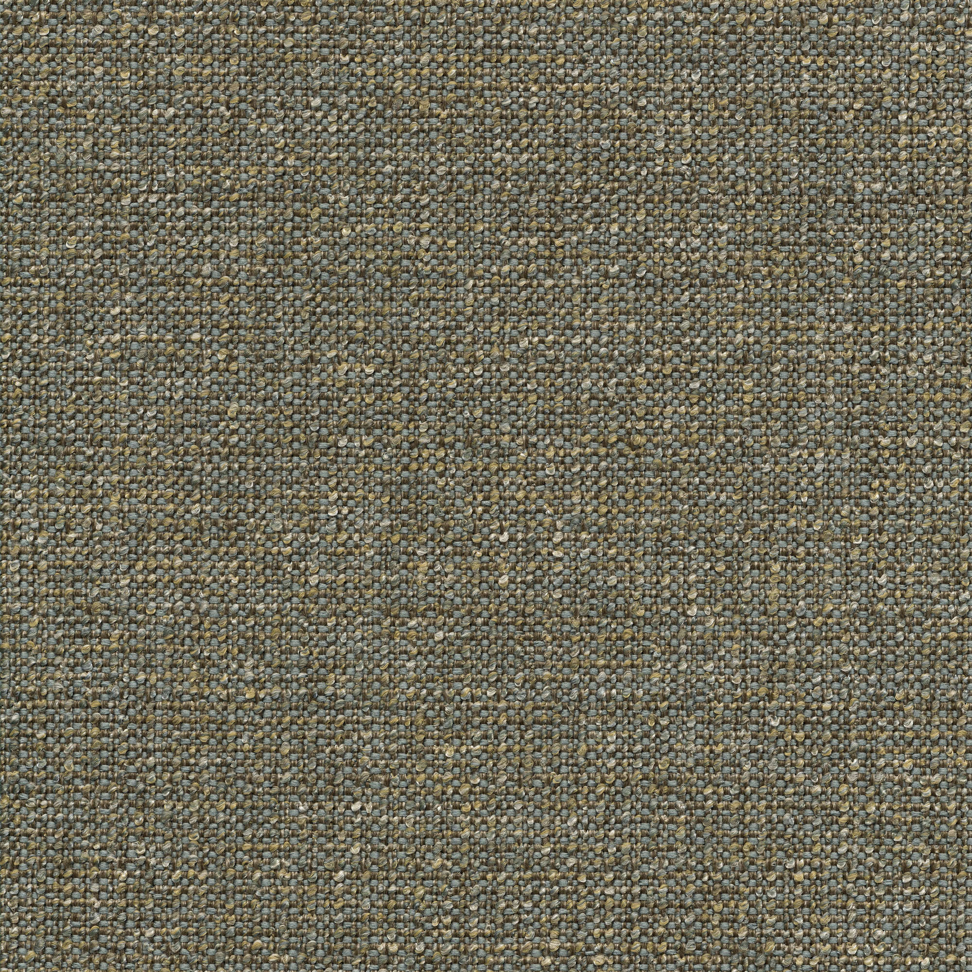 53120 POWDER (ZEST)
