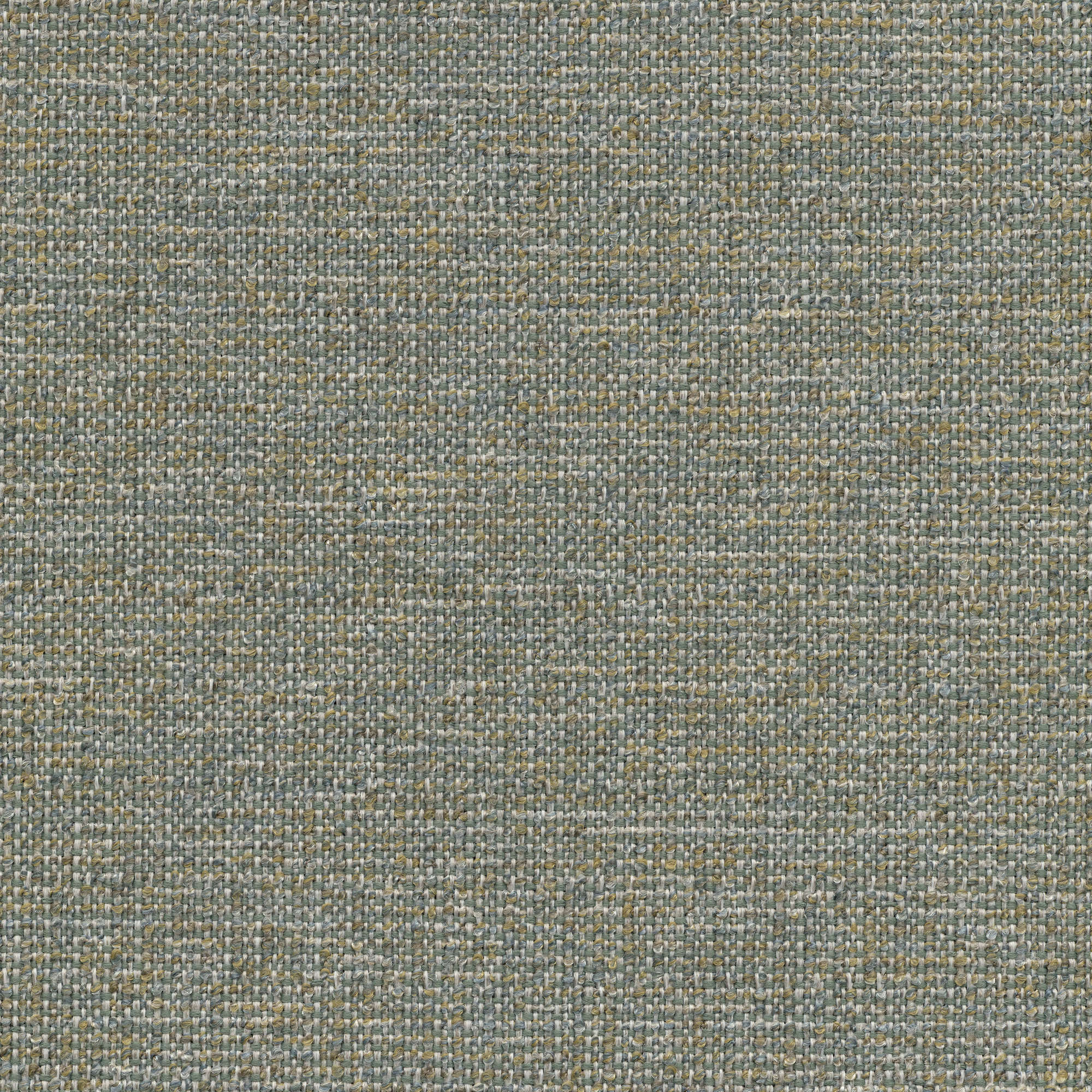 53122 WILLOW (ZEST)