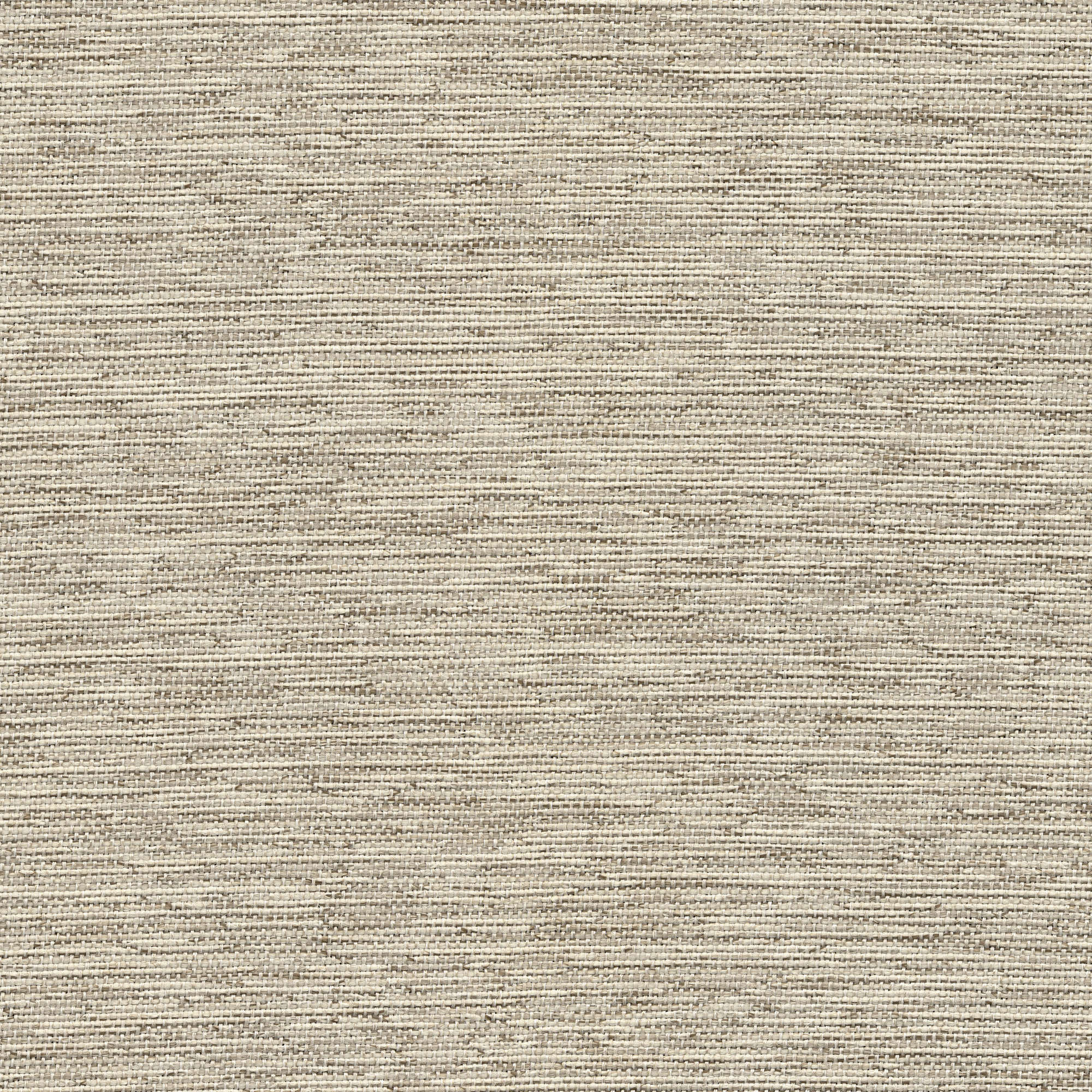 53132 CANVAS (CORSAIR)