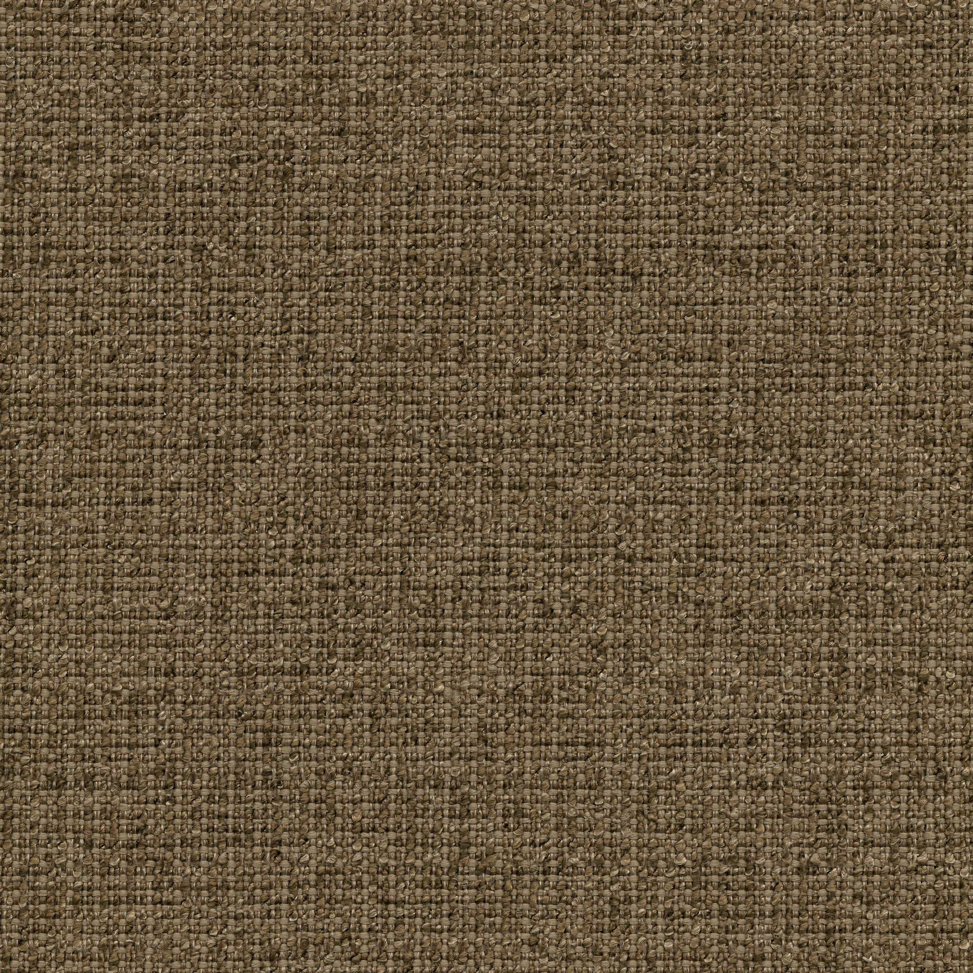 53135 PEWTER (ZEST)