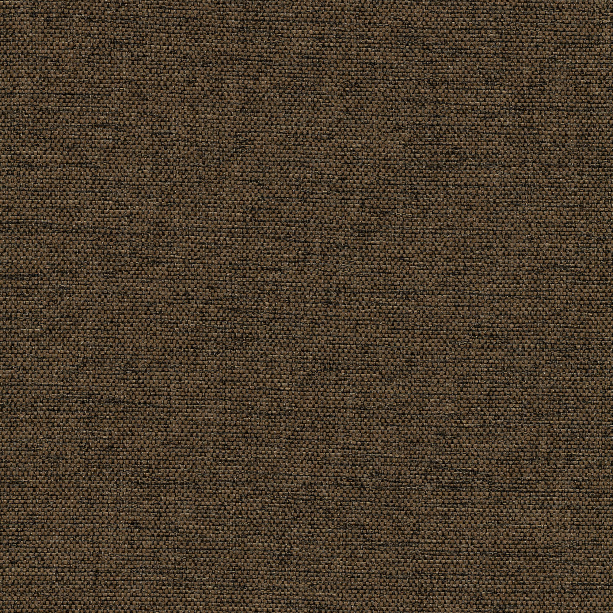 53139 WALNUT (ZEST)