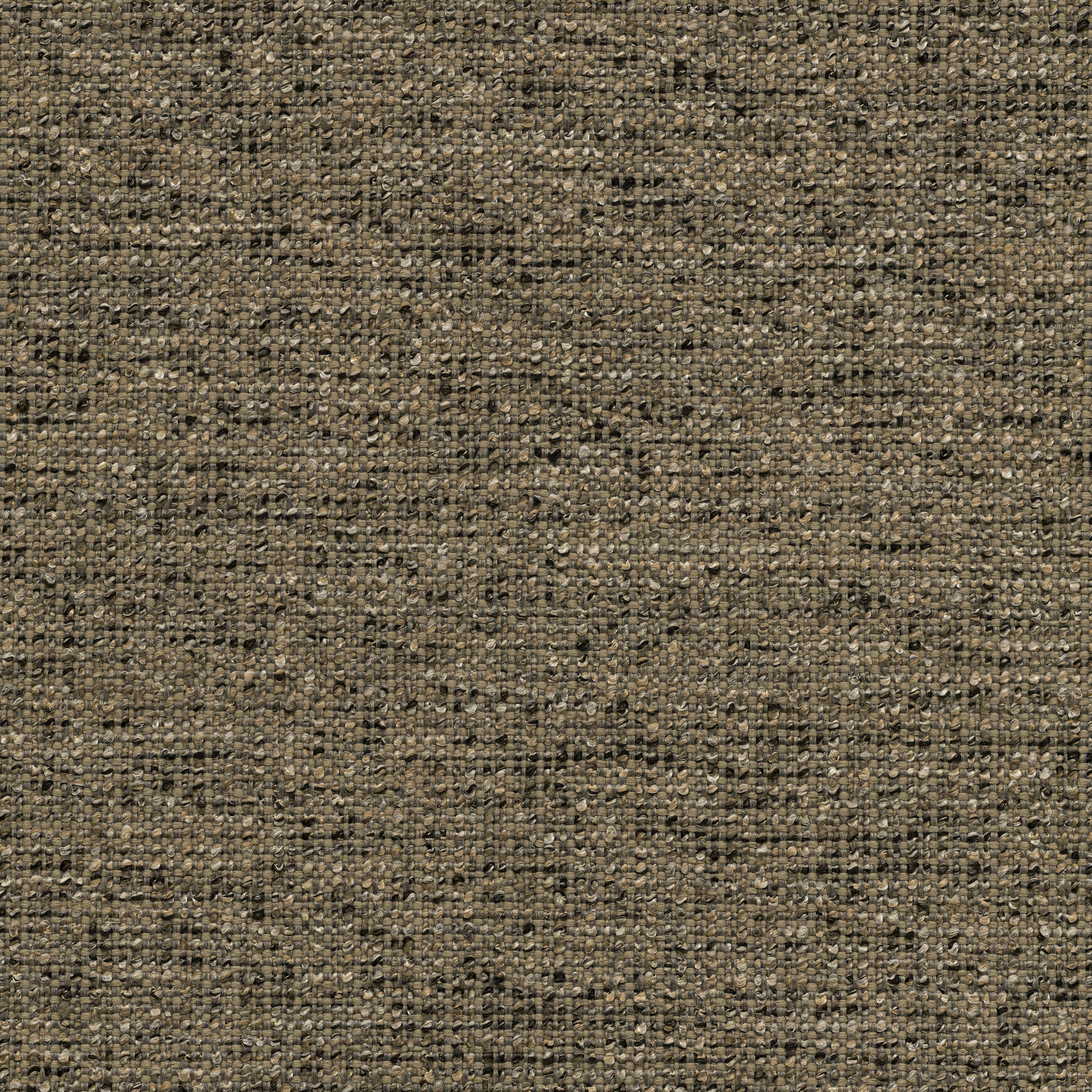 53140 TWEED (ZEST)