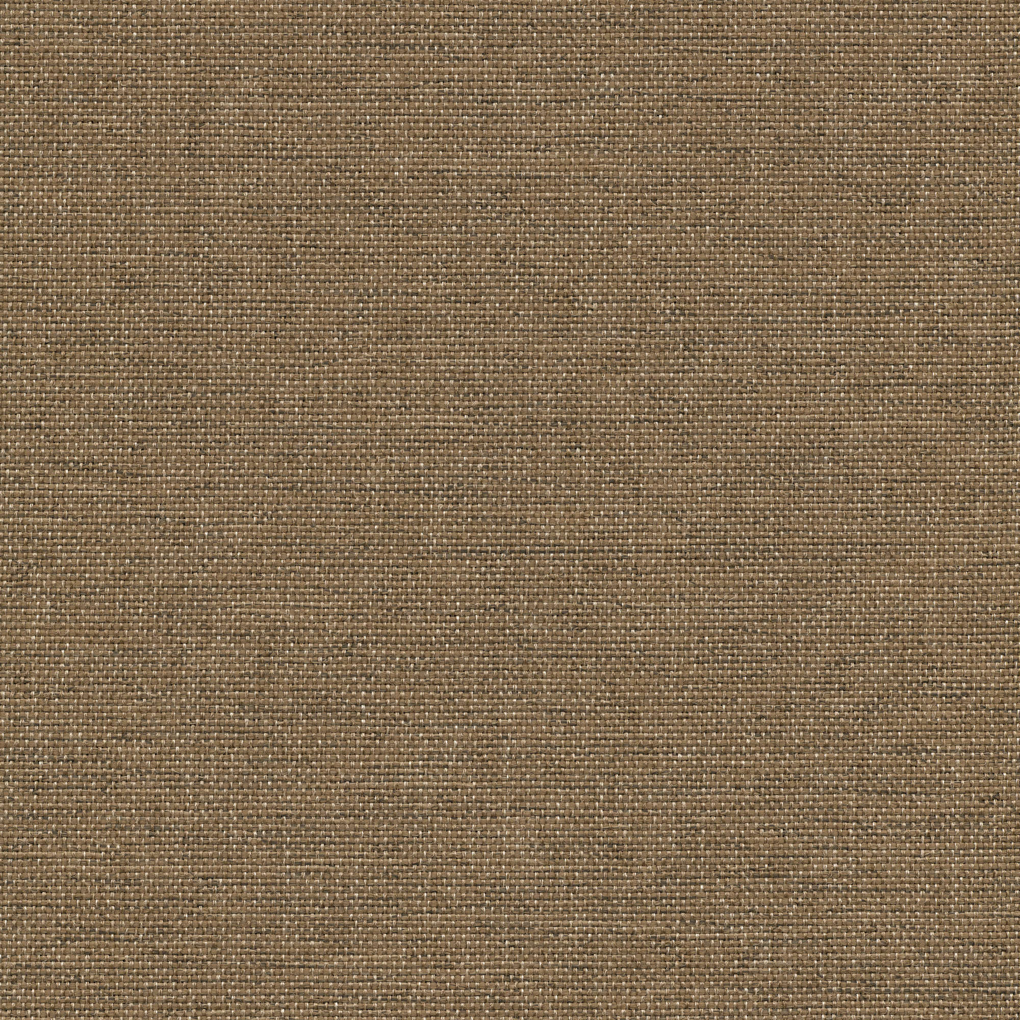 53141 MALT (CORSAIR)