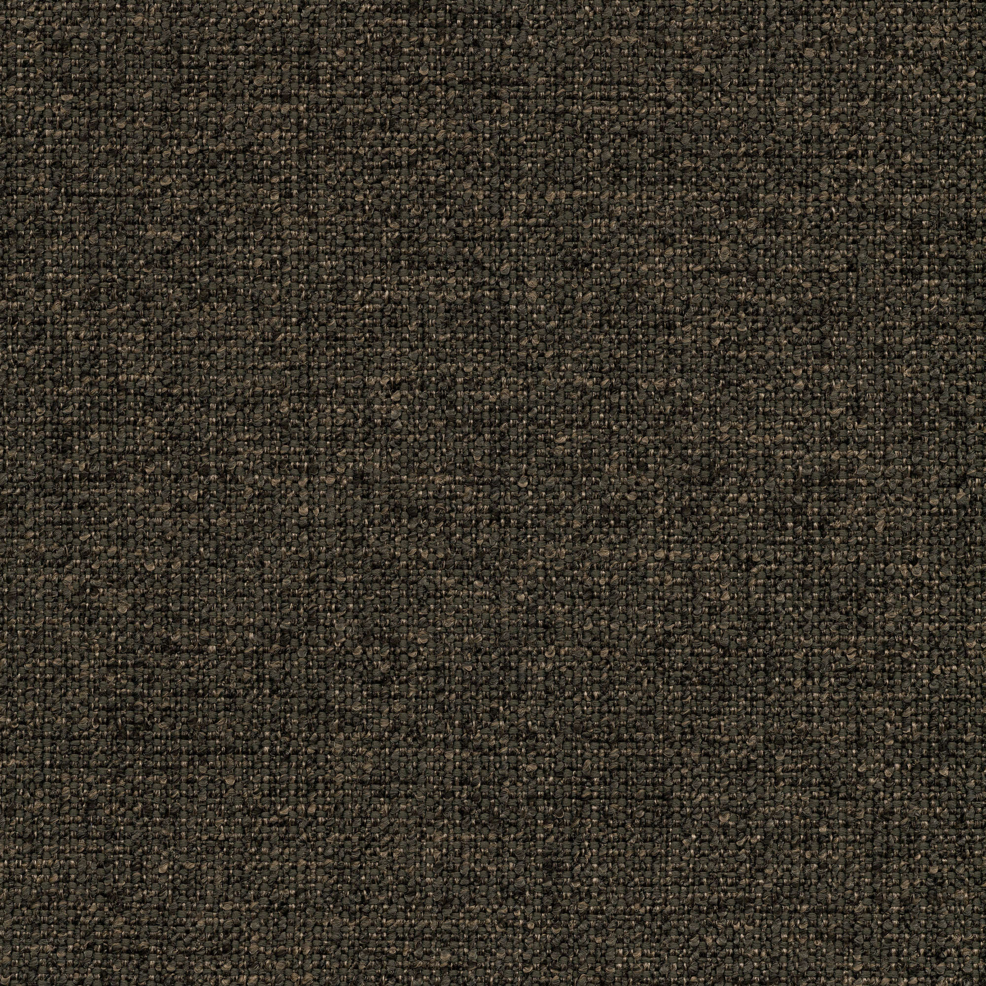 53145 EBONY (ZEST)