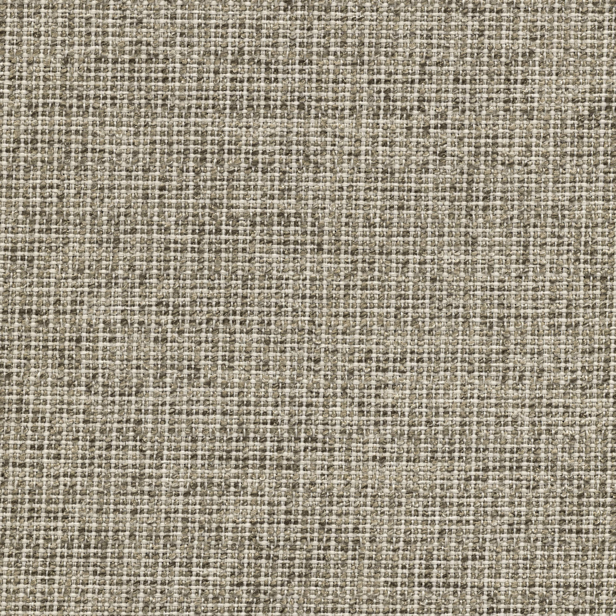 53220 FOG (ZEST)