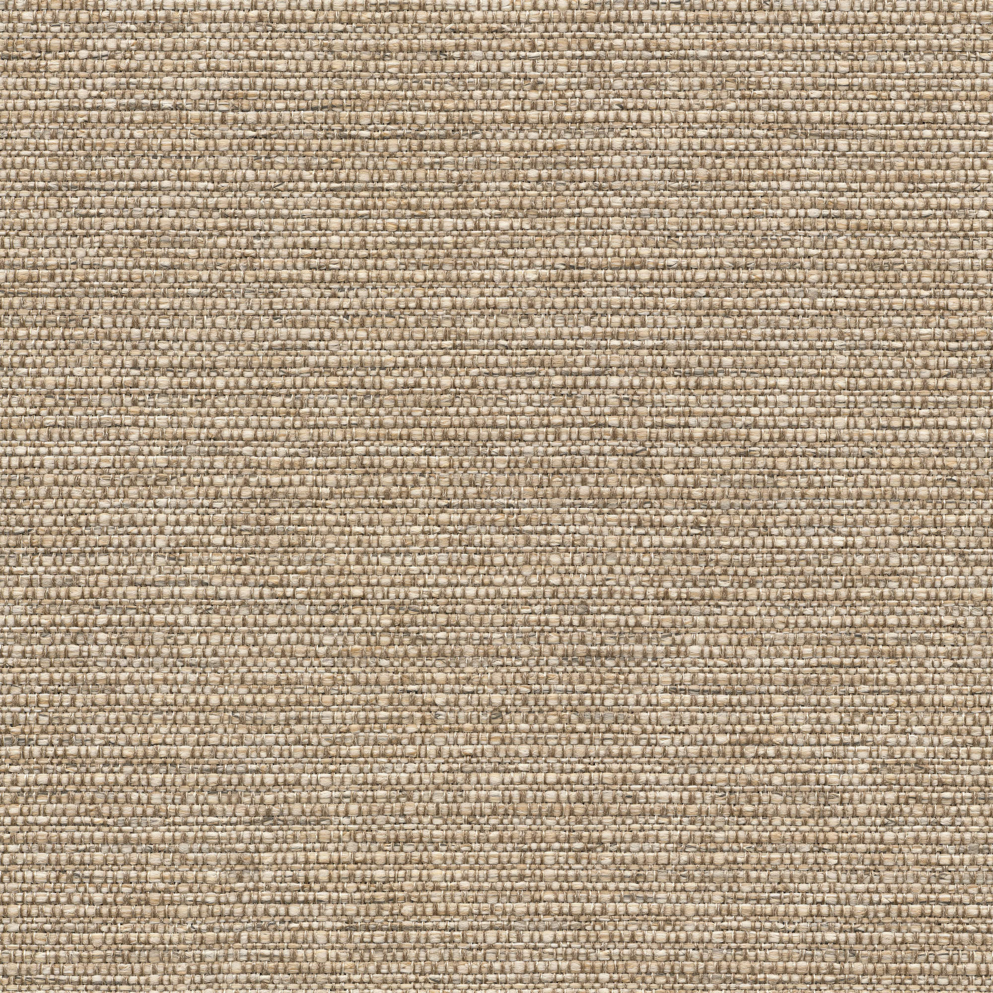 53222 FLAX (COLTON)