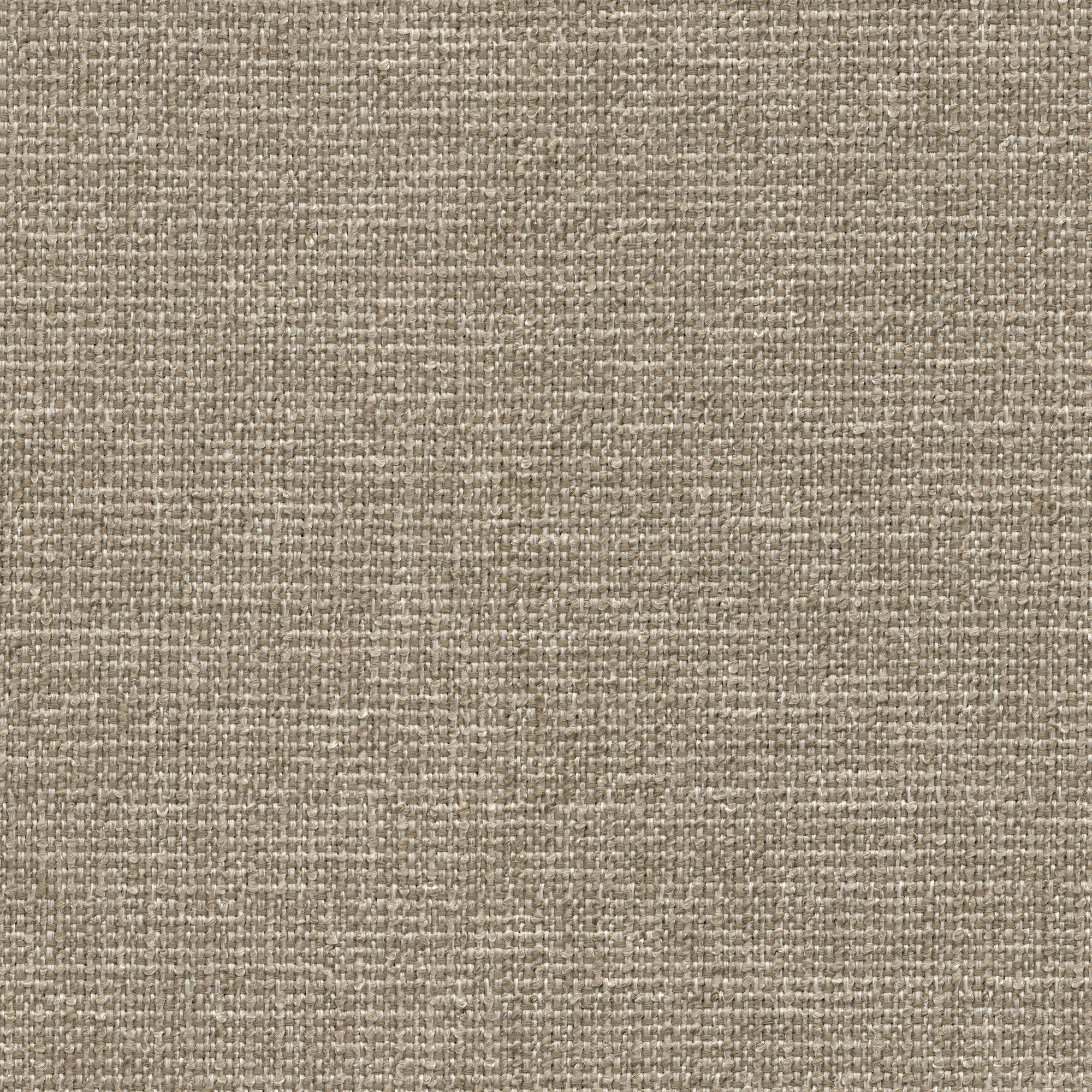 53223 HEMP (ZEST)