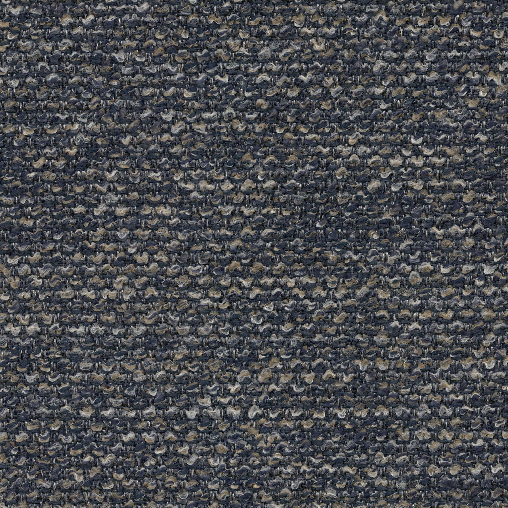53228 INDIGO (ARCHER)