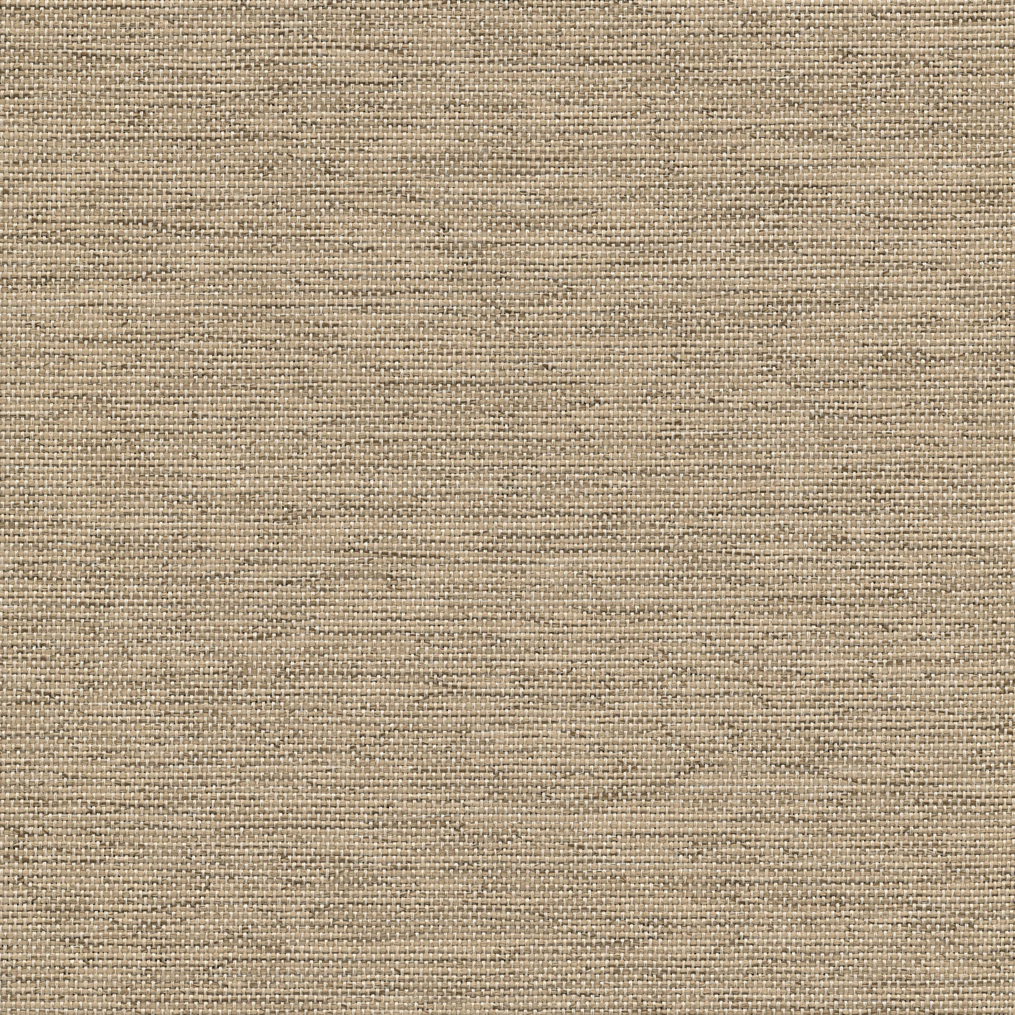 53236 DUNE (CORSAIR)