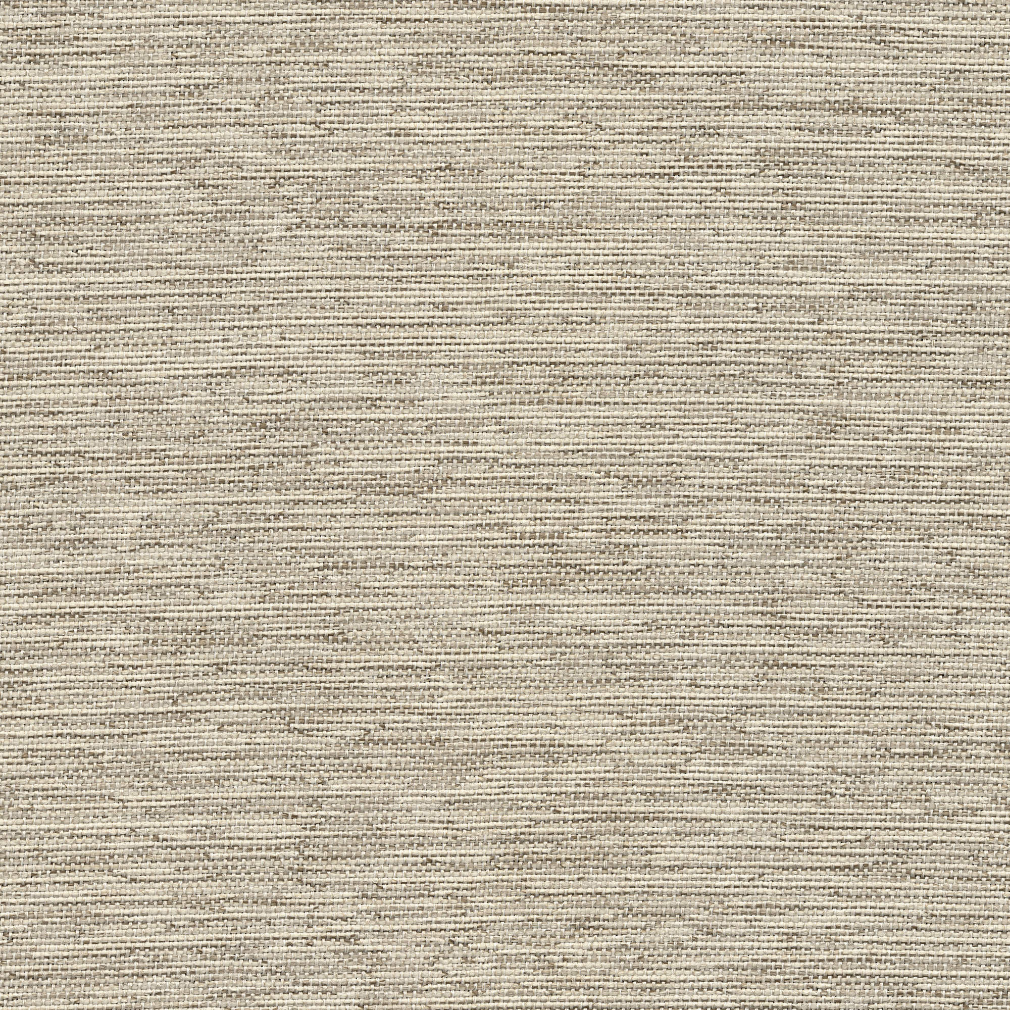 53238 CANVAS (CORSAIR)