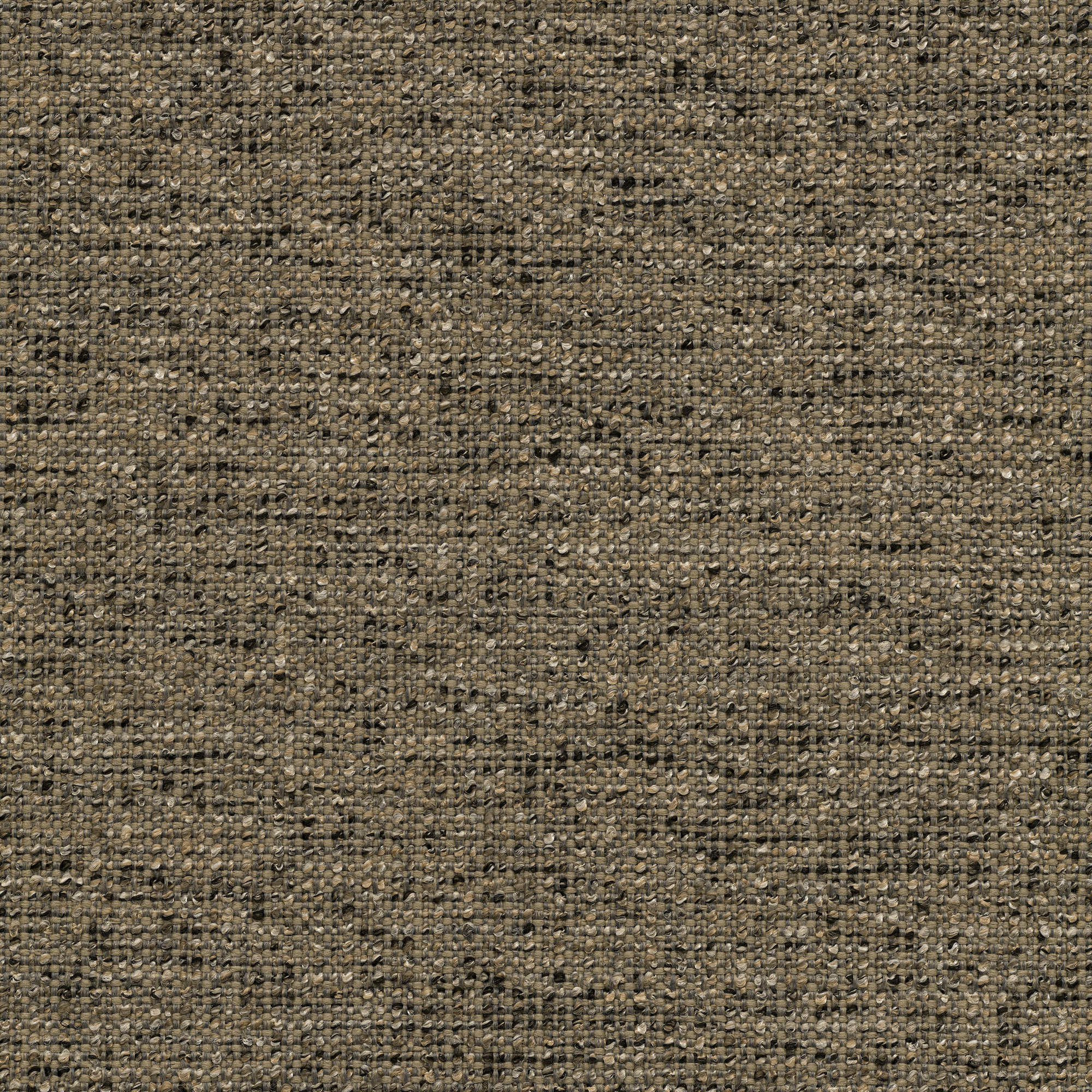 53241 TWEED (ZEST )