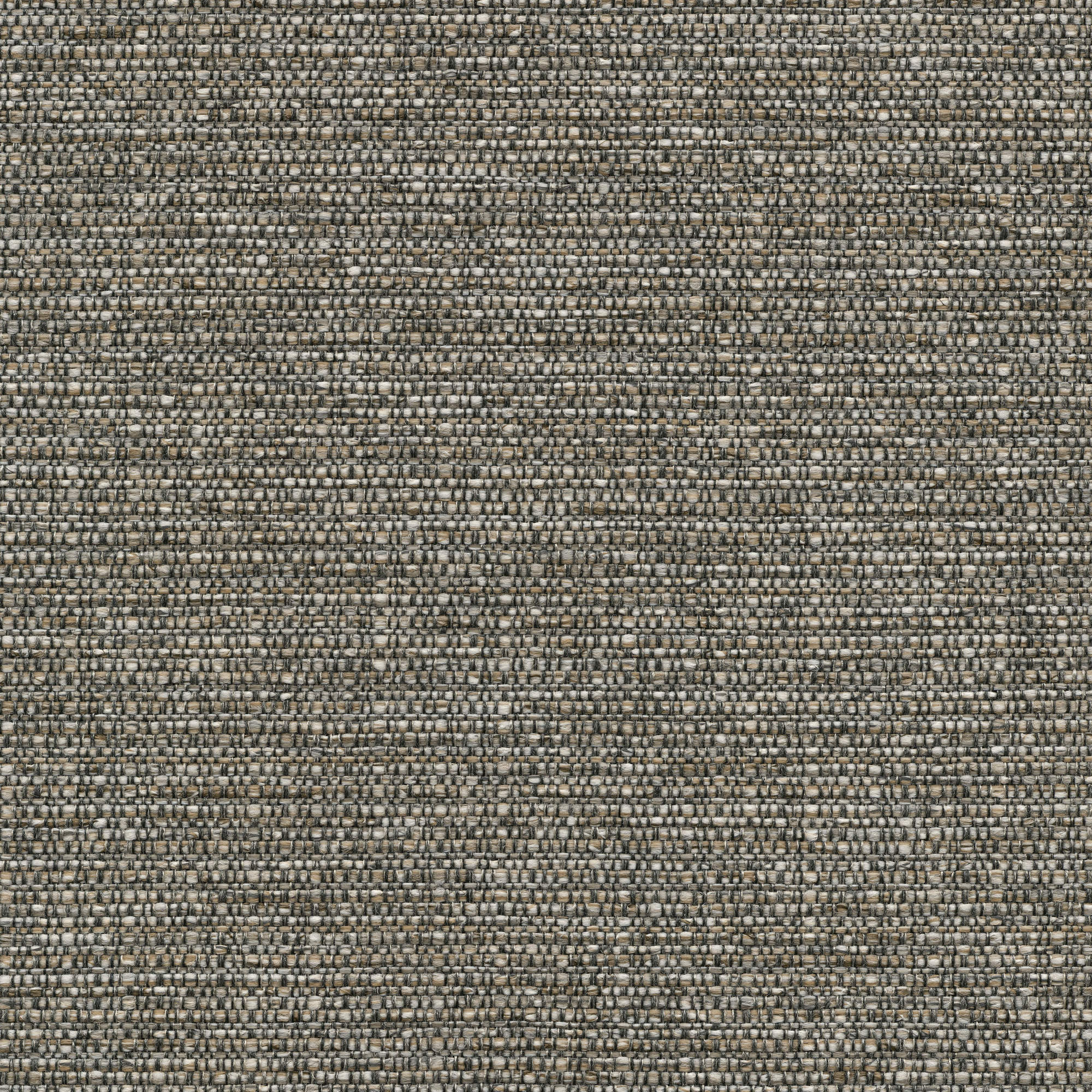 53242 FOG (COLTON)